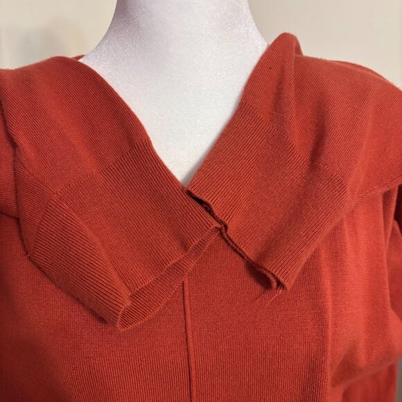 Beautiful Terracotta Color Top (Rayon/Nylon) with Long Sleeves - 3x - Picture 3 of 11